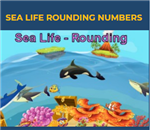 sea life rounding 